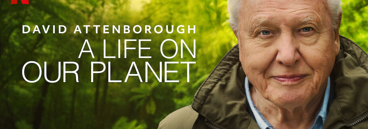 Poster of David Attenborough Một Cuộc Đời Trên Trái Đất