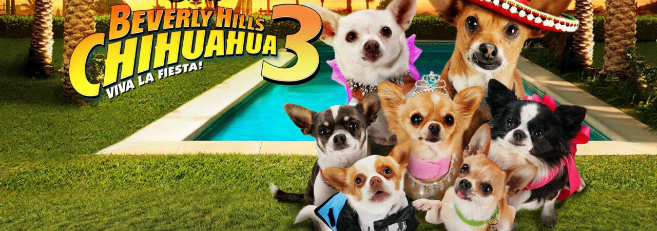 Phim Những Chú Chó Chihuahua 3 HD Vietsub