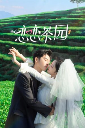 Xem Phim Đồi Trà Tình Yêu 03 FHD Vietsub-Love in the Tea Garden